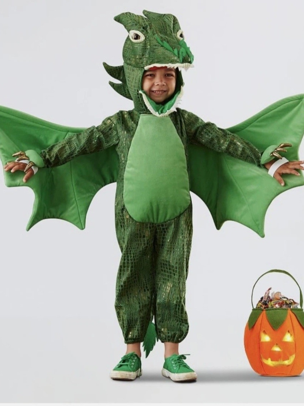 Pottery Barn Kids Toddler Green Dragon Costume
